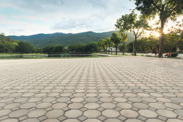Best Custom Driveway Pavers  in Mount Carmel, PA